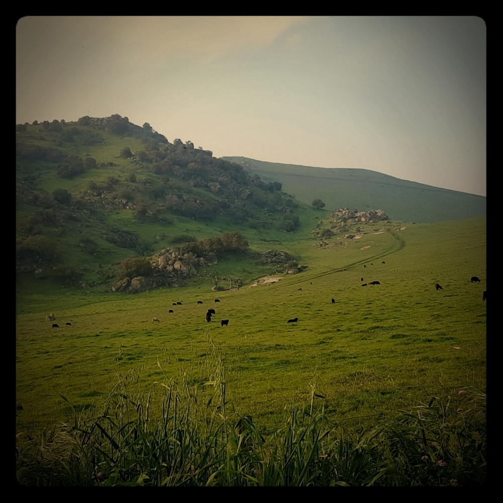 Meet your Posher, Vero